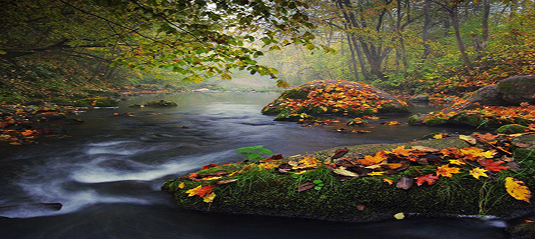 Οικολογικά προϊόντα